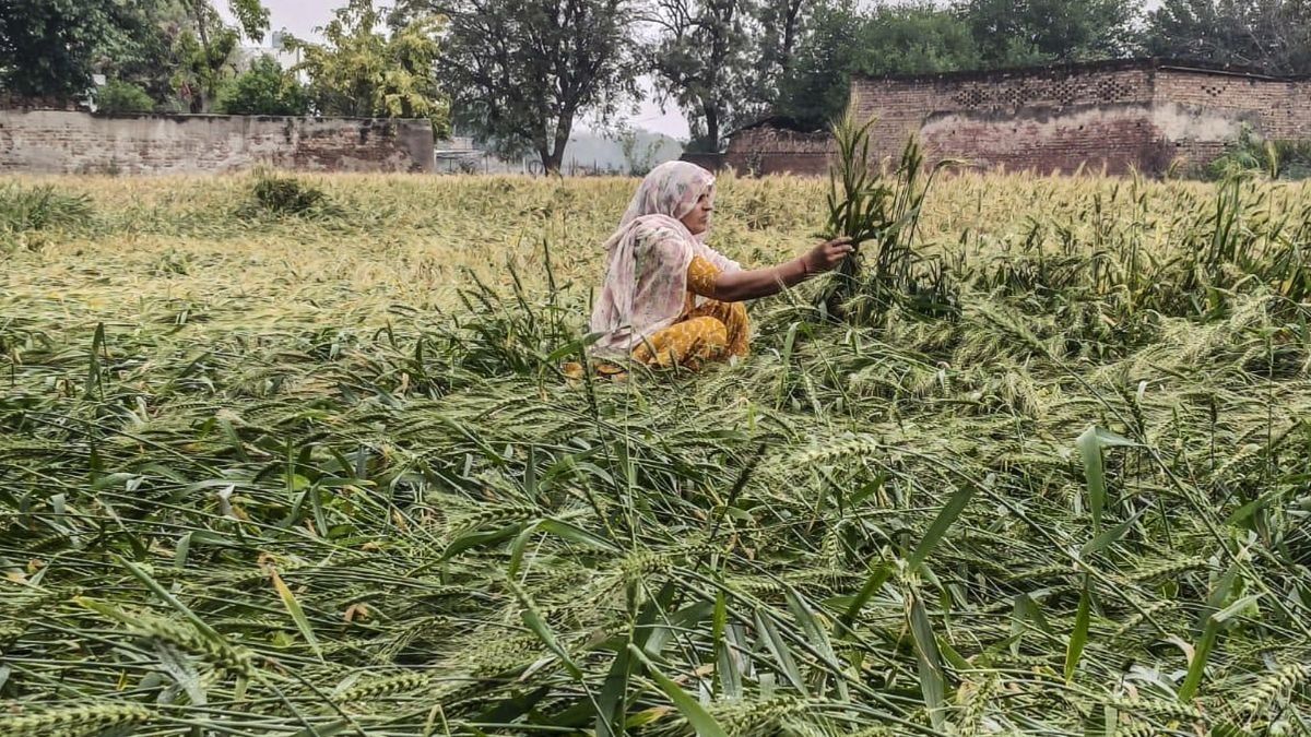 Pradhan Mantri Fasal Bima Yojana