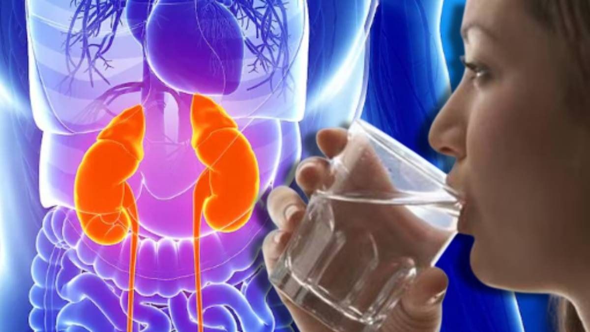 Kidney Health