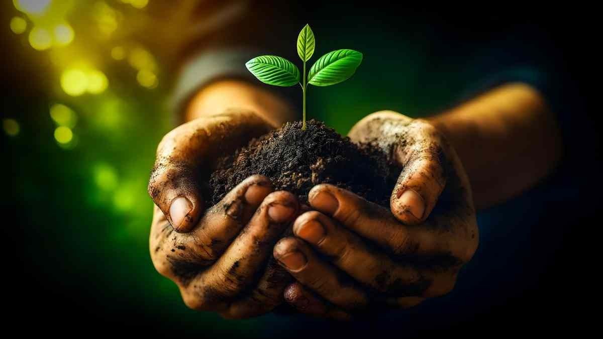 How to make soil for Kitchen Garden