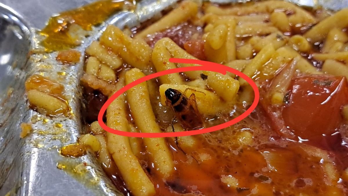 परोसे गए खाने में कीड़ा