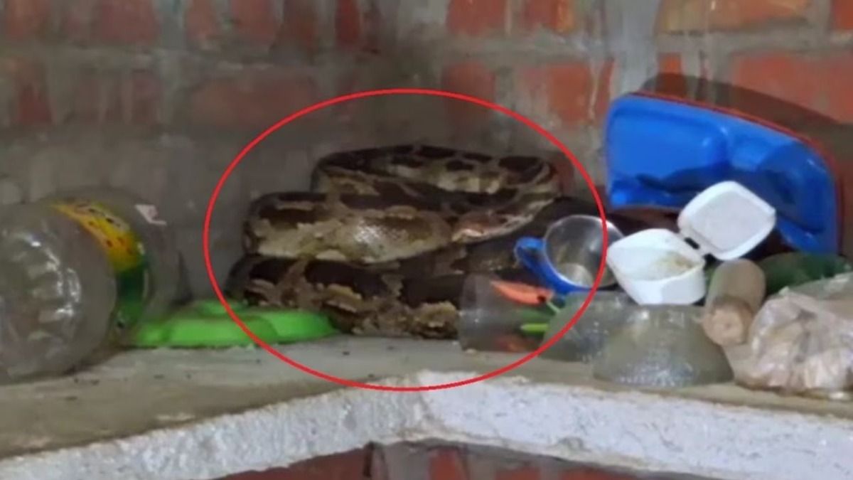 Python in the Kitchen