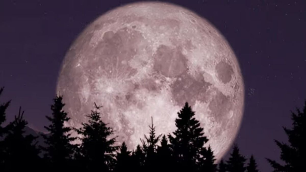Moon 