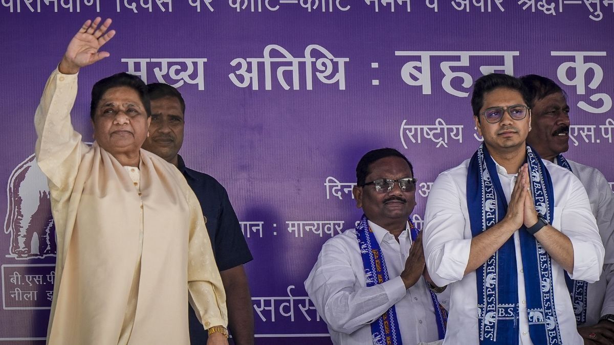 Mayawati and Akash Anand (Photo/PTI)