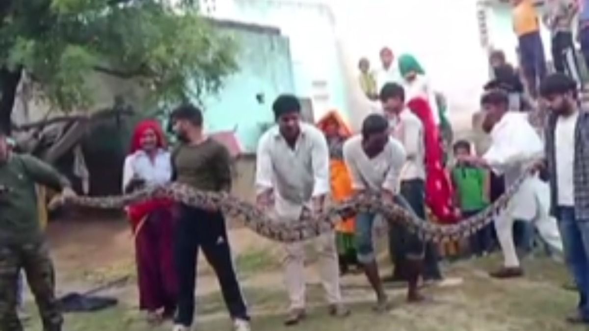 15 फीट का अजगर किया गया रेस्क्यू