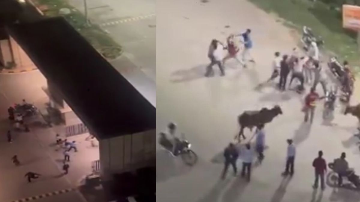 Greater Noida Video Viral