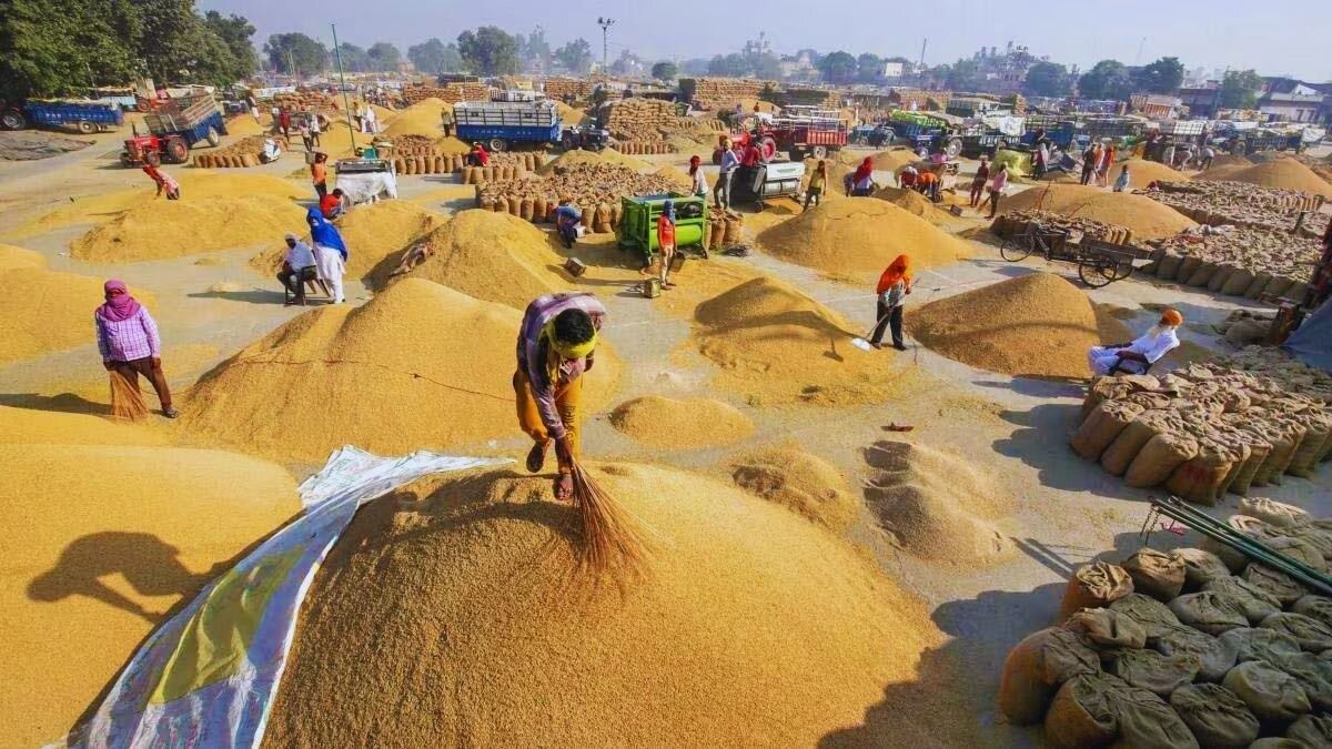 Paddy Purchase Policy