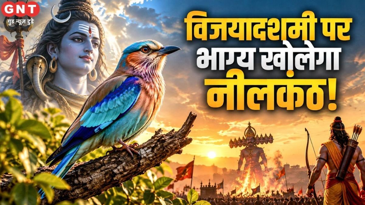 Seeing a Neelkanth Bird on Dussehra is Considered Auspicious