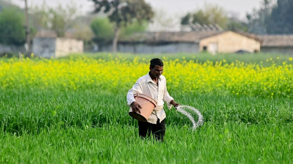 PM Kisan: PM किसान योजना की 24वीं किस्त को लेकर बड़ा अपडेट, 30 अक्टूबर को जारी होंगे हजारों करोड़ रुपये 4 6ae2b8ec37d65 pm kisan nidhi scheme 290931424