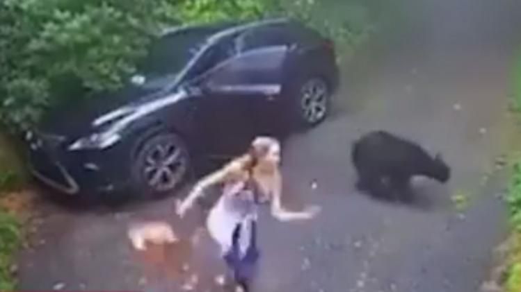 कार में बैठा था भालू 