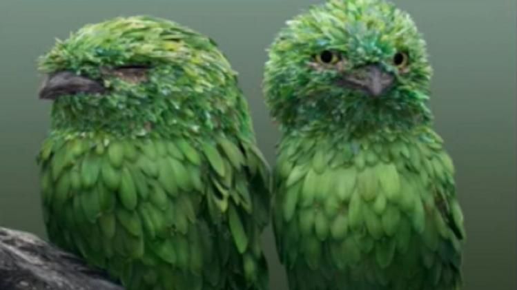 गलत दावे के साथ वायरल हो रही है तस्वीर.