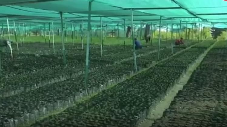 budgam jammu kashmir