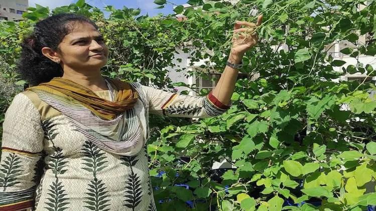महिला ने घर की छत पर बनाया किचन गार्डन