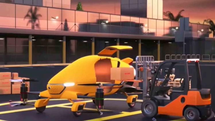 Made in india Flying car