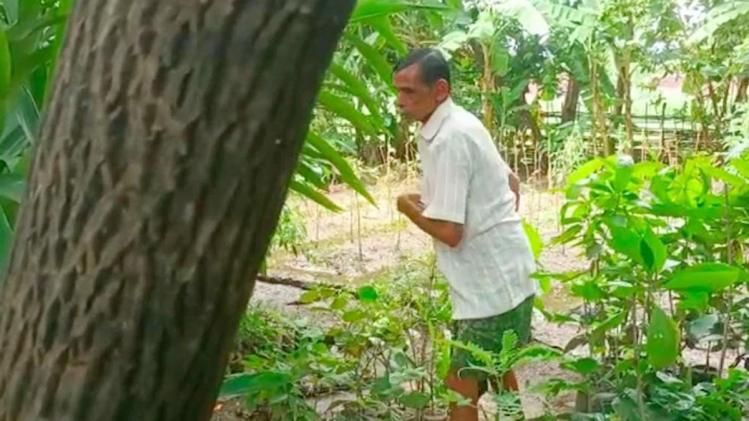 पटायत साहू ने एक बगीचा में 3 हजार औषधीय पौधे (फोटो- GNT)