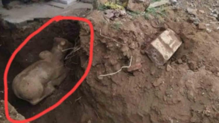 Nandi Discovered While Digging Around Mosque?