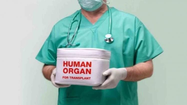 How organ is transported?