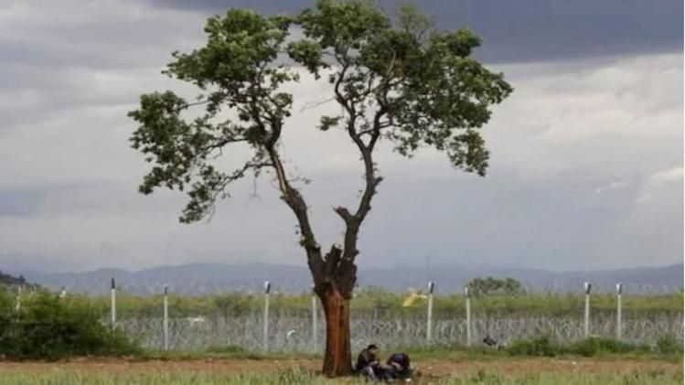 (प्रतीकात्मक फोटो)