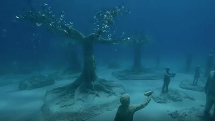 Underwater Museum Forest 