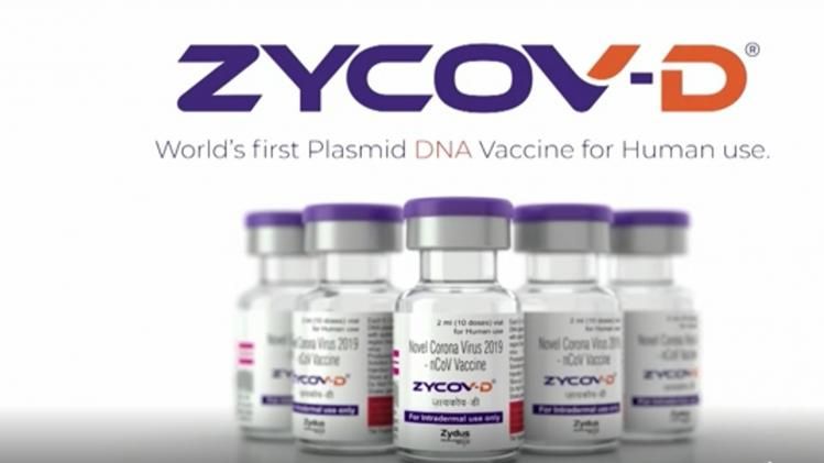 corona virus zycovd vaccine 