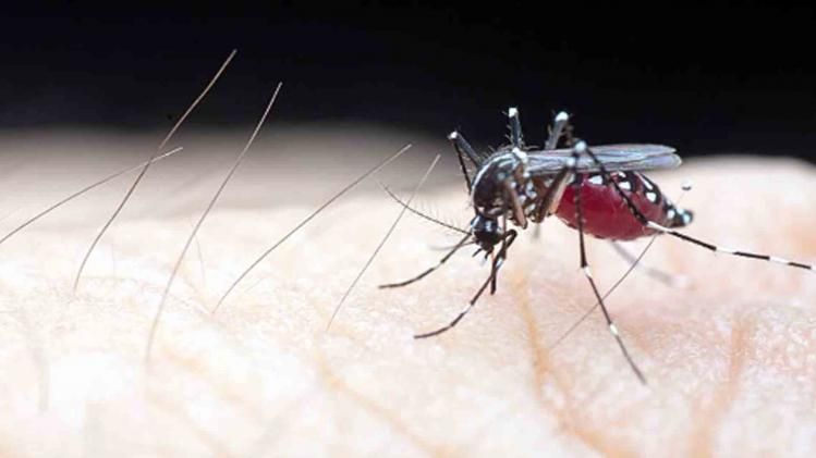 Dengue cases increasing in Delhi, over 150 cases reported in September