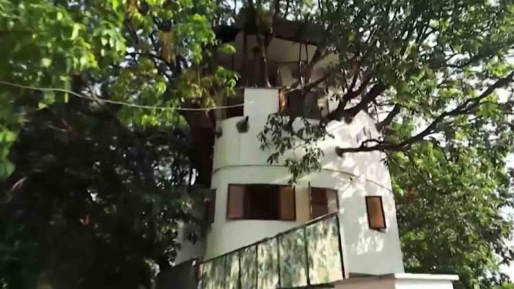 KP Singh Treehouse