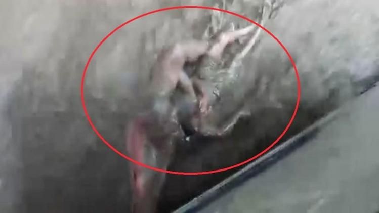 जान दांव पर लगाकर कंडक्टर ने पर्यटक को बचाया