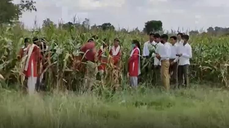 school started farming 