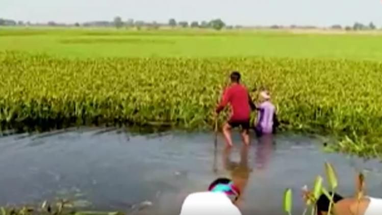 tourist birds dhanauri village 