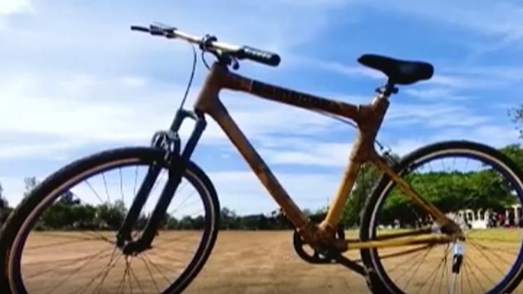bamboo cycle 