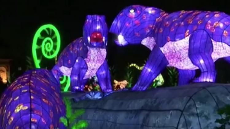 Paris Christmas lights display