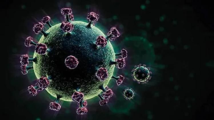 scientists claim to decoded Omicron variant 