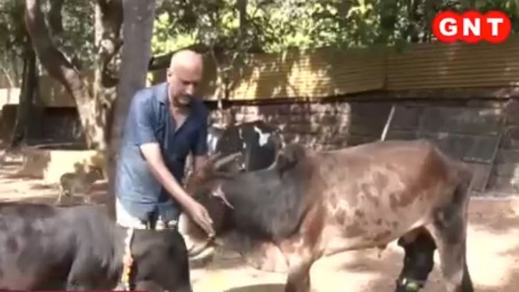 Atul Soren Serving Stray Animals 