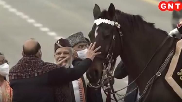 President Bodyguard horse retires