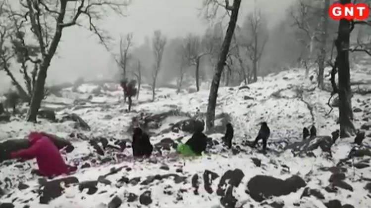 चमोली में स्नो ट्रेकिंग करते पर्यटक