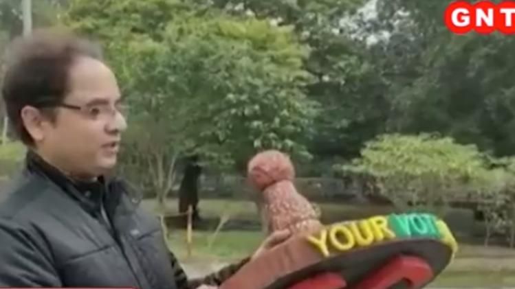 tooth pick artist creation for elections campaign 