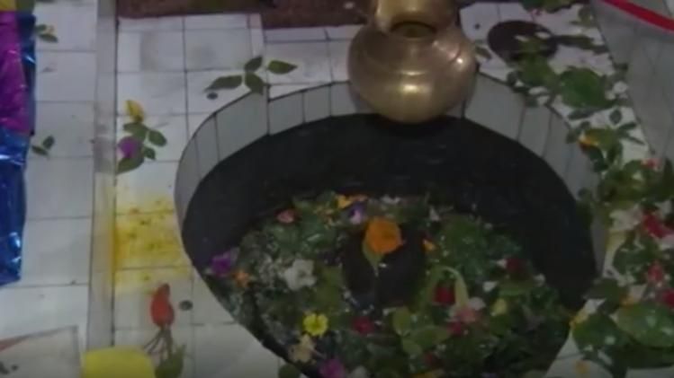 shivratri vishwanath darshan