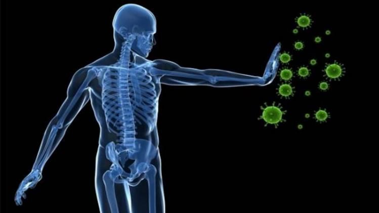what is immunity 