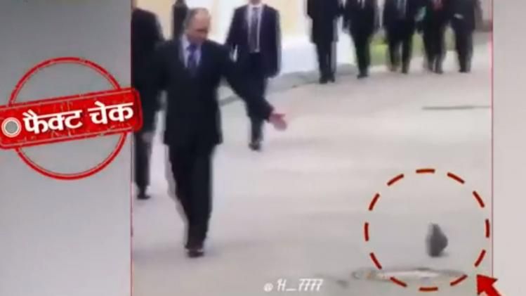 पुतिन को सैल्यूट कर रहे कबूतर का वीडियो वायरल