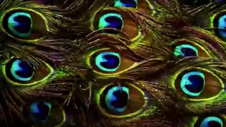 प्रार्थना हो स्वीकार