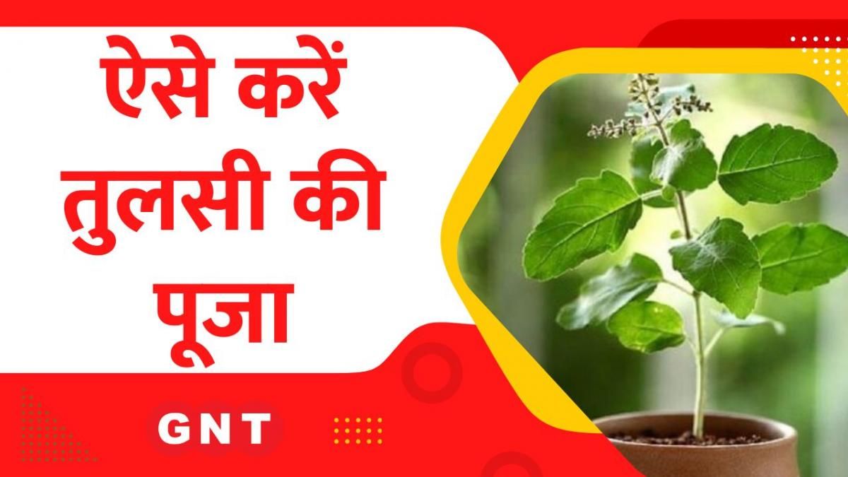 Tulsi
