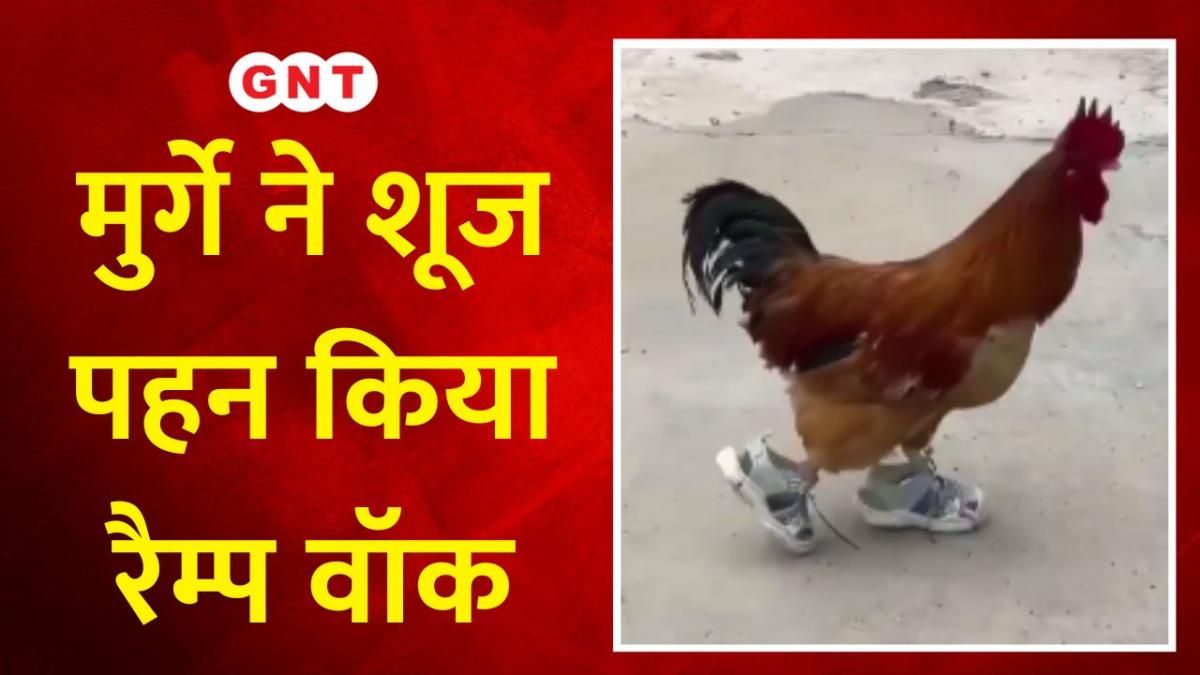 Marika Fruscio bilan porno video