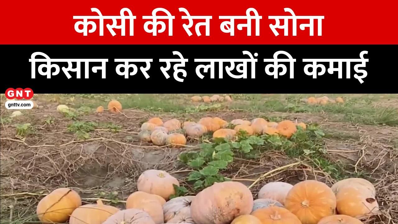 Kosi River's Sand Becomes Gold for Supaul Farmers in Bihar; Earning Lakhs from Watermelon, Cucumber Cultivation frvd