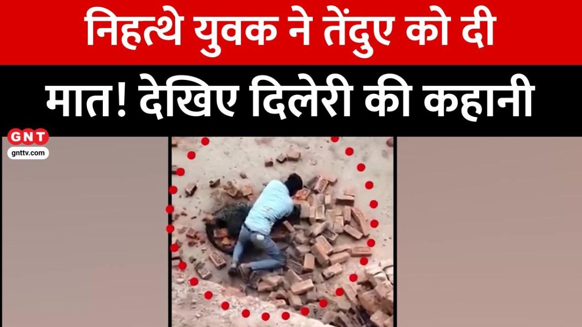 UP Leopard News