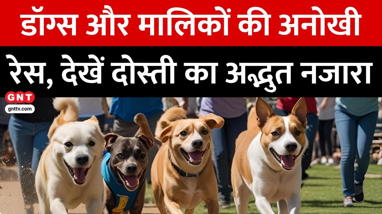 Bolivia Hosts Unique Dog Race with Owners to Promote Pet Awareness  Police Dogs Participate in Special Event frvd