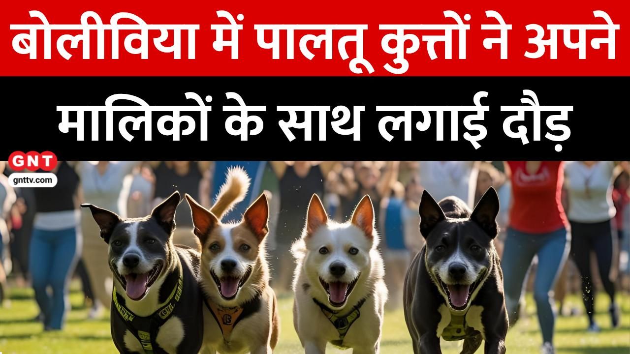 Global Unique News: From Bolivia Dog Race and Australia Sea Paintings to Florida Hemingway Look-Alike Contest and Venezuela Elderly Club for Loneliness frvd