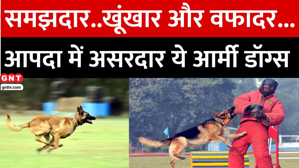 Indian Army Dogs Training 