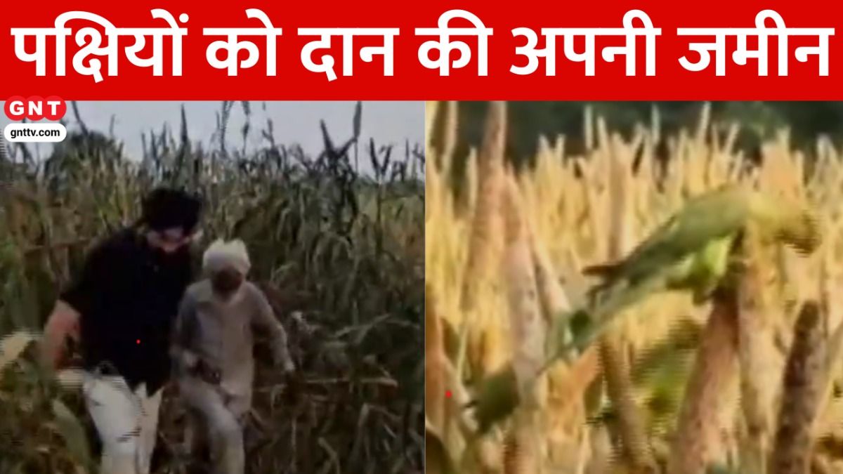 शिक्षक ने पक्षियों को दान की जमीन