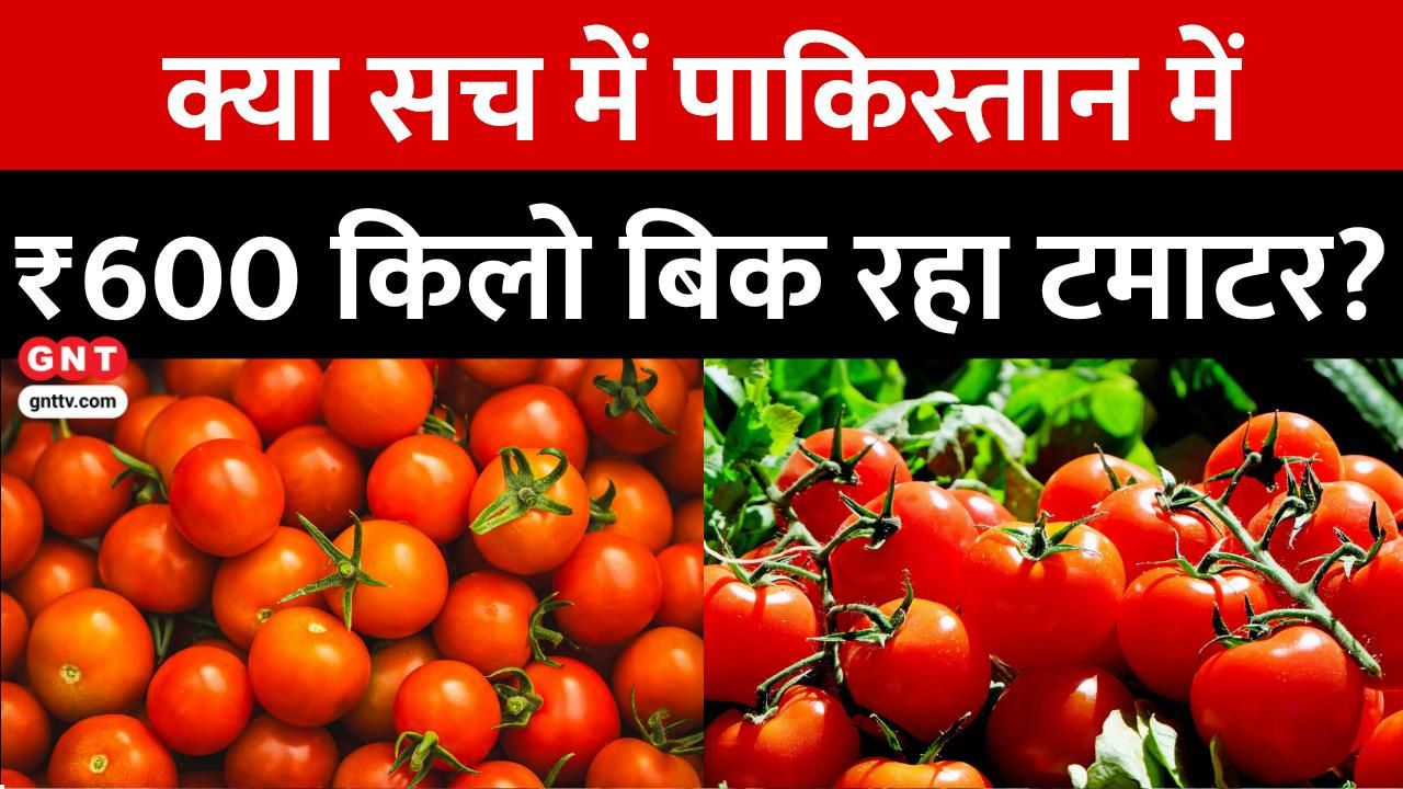 Fact Check: Are tomatoes selling at Rs 600/kg in Pakistan? Truth of viral video of UP policewoman being threatened revealed frvd
