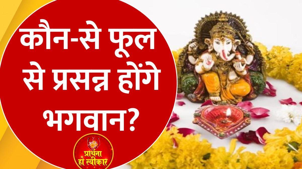 Importance of Flower