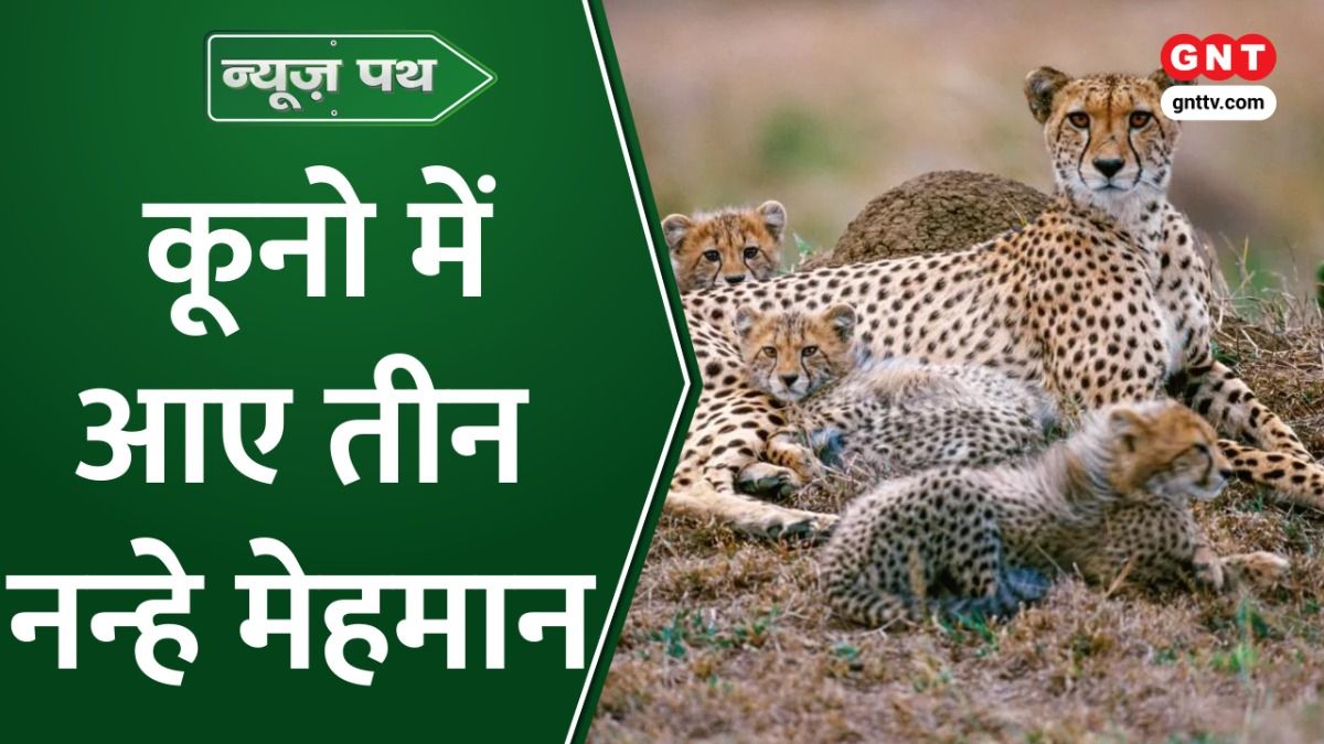 कूनो नेशनल पार्क